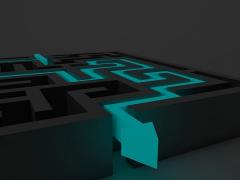 Bild zeigt ein Labyrinth wo der Lösungsweg auch gleich gezeigt wird